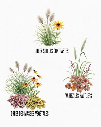 Infographie de quelques conseils pour associer les graminées à d'autres plantes, heuchères et rudbeckias.