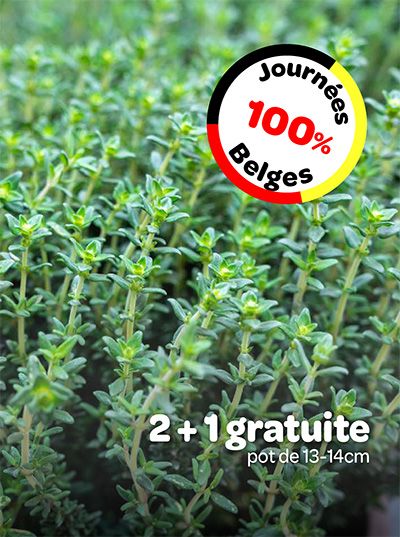 Affiche promotionnelle pour les journées 100% Belges en jardinerie avec des pots de plantes.