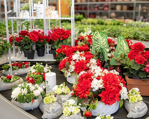 Compositions florales rouges et blanches en pots gris, avec bougie, exposées en jardinerie pour la Toussaint