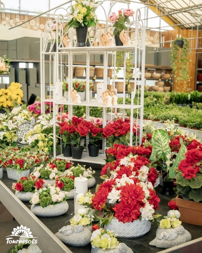 Compositions florales rouges et blanches en pots gris, étagère blanche avec anges et pots, dans une jardinerie Tournesols