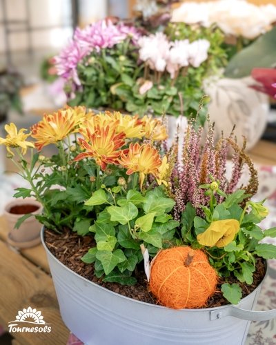 Composition de Toussaint en bac zinc avec chrysanthèmes jaune orangé, bruyère rose, lierre et petite citrouille décorative