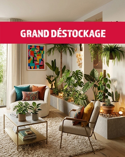 Salon décoré de nombreuses plantes vertes avec un bandeau rouge 