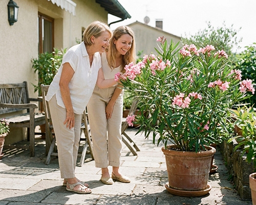 Mère et fille adultes admirent un laurier-rose en fleurs dans un pot sur une terrasse ensoleillée.