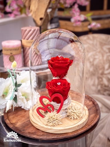 Deux roses éternelles rouges sous cloche en verre, symbole d’amour durable pour la Saint-Valentin