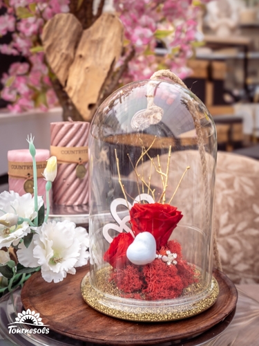 Rose éternelle rouge sous cloche en verre, décor de cœurs blancs et touches dorées, idée cadeau Saint-Valentin