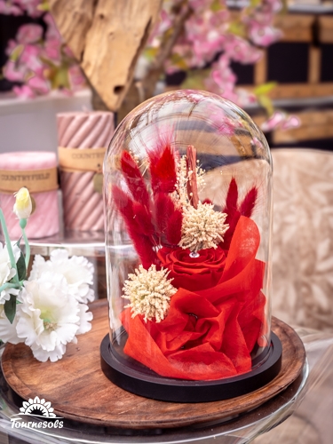 Rose éternelle rouge sous cloche en verre, idée cadeau raffinée pour la Saint-Valentin chez Tournesols.